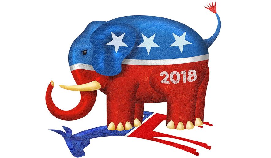 These Midterm Elections Are Important